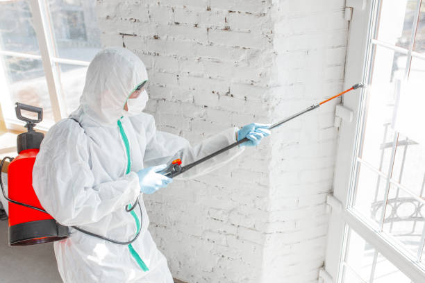 Mold Remediation for Rental Properties